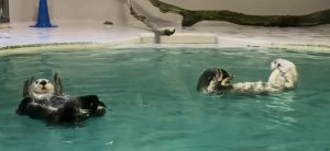 鳥羽水族館近くのホテル・旅館のアイキャッチ