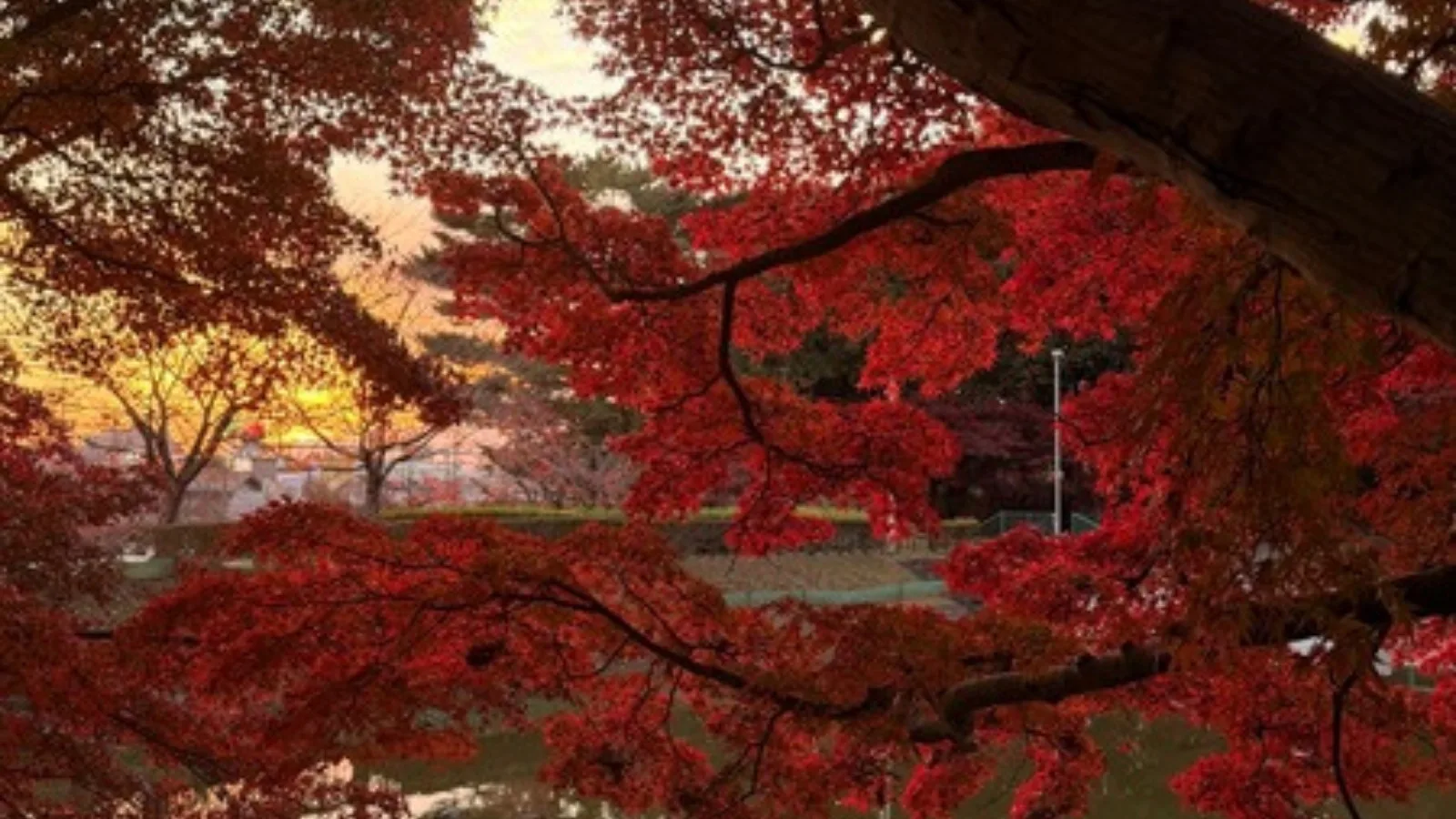 夕焼けの空と紅葉、水面